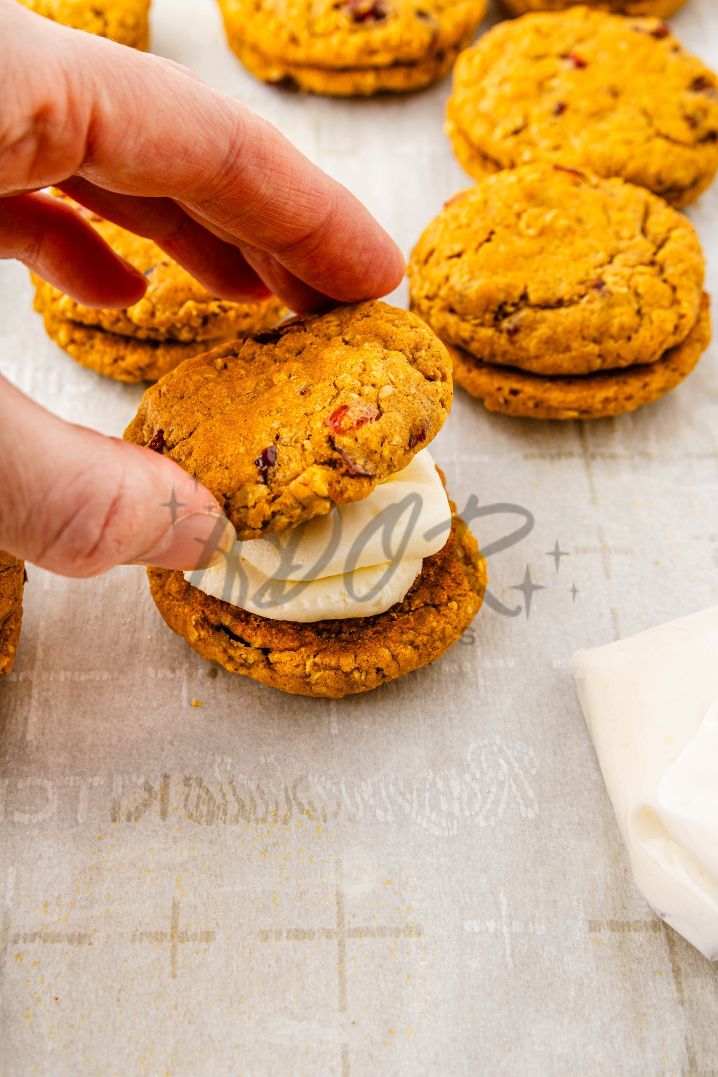 Pumpkin Oatmeal Cranberry Sandwich Cookies - Set 1 of 3