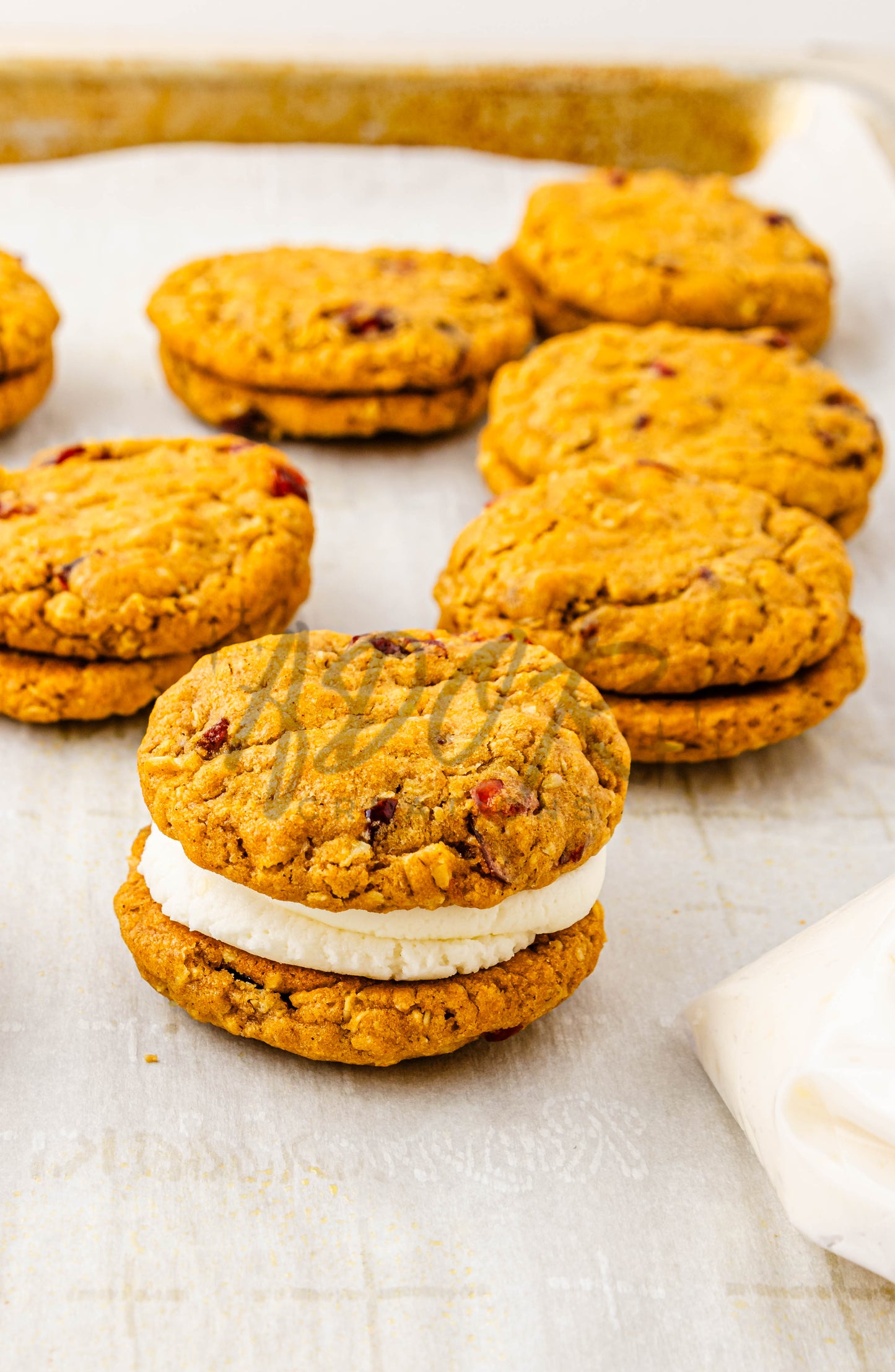 Pumpkin Oatmeal Cranberry Sandwich Cookies - Set 1 of 3