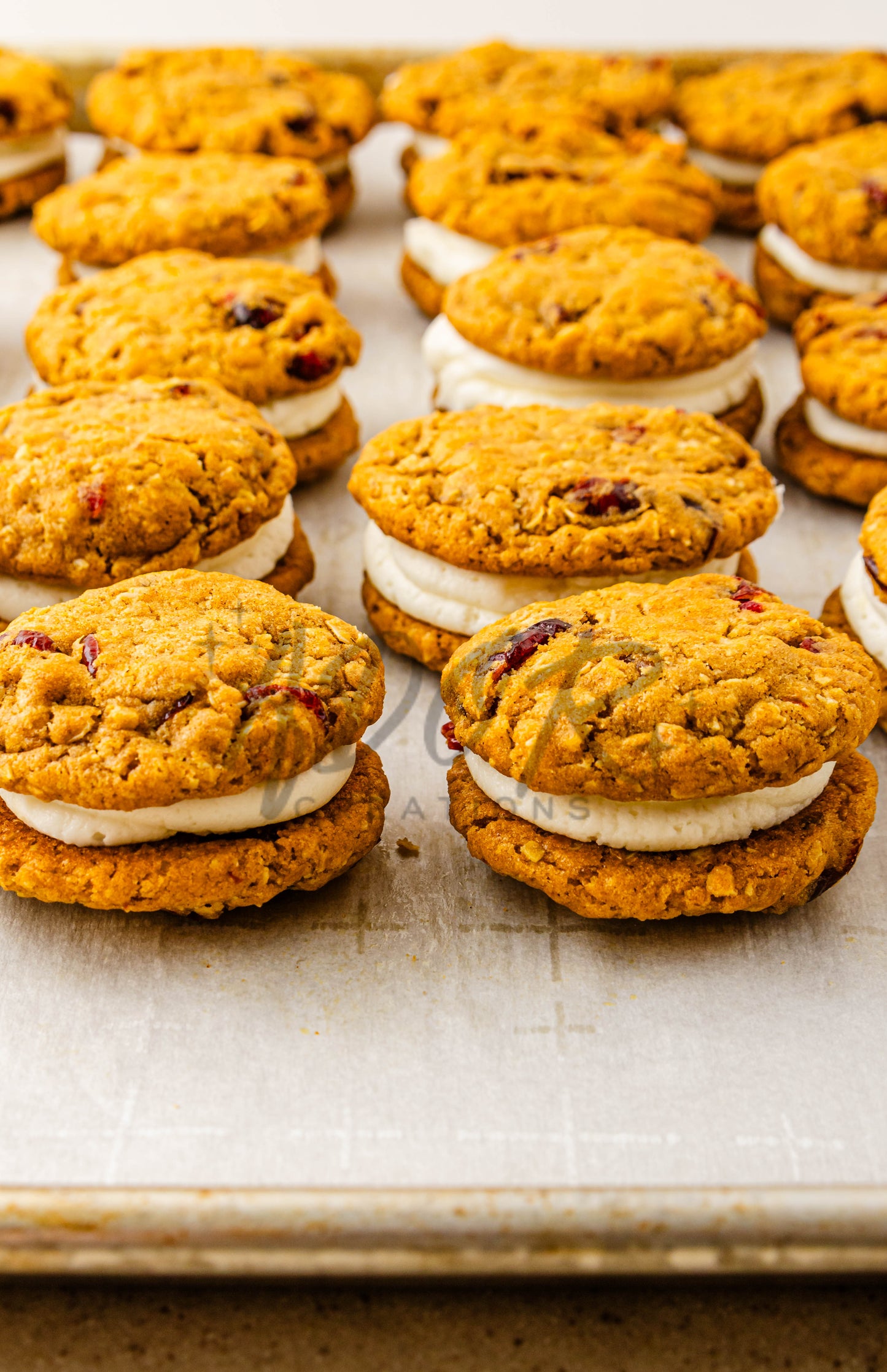Pumpkin Oatmeal Cranberry Sandwich Cookies - Set 1 of 3