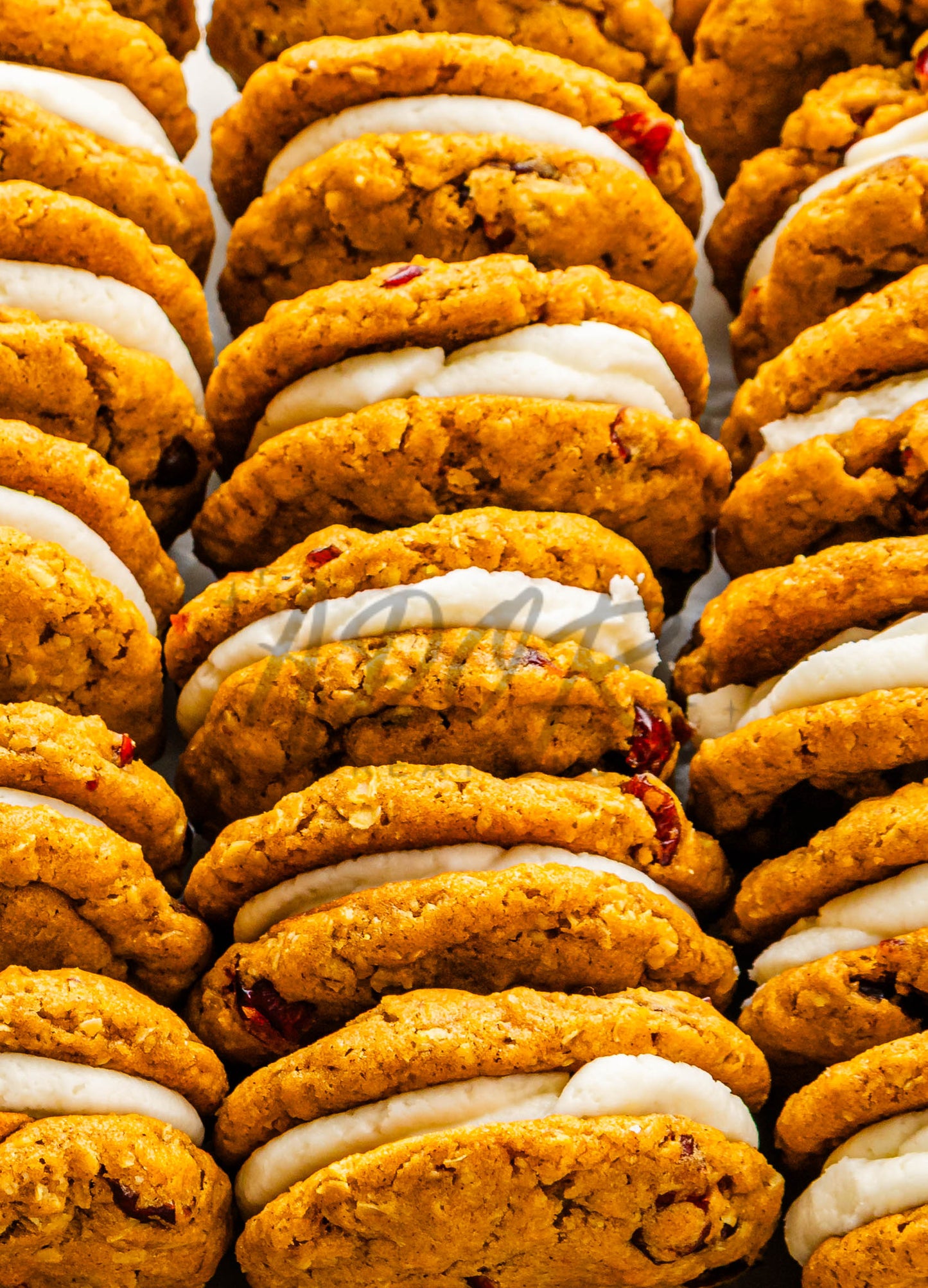 Pumpkin Oatmeal Cranberry Sandwich Cookies - Set 1 of 3