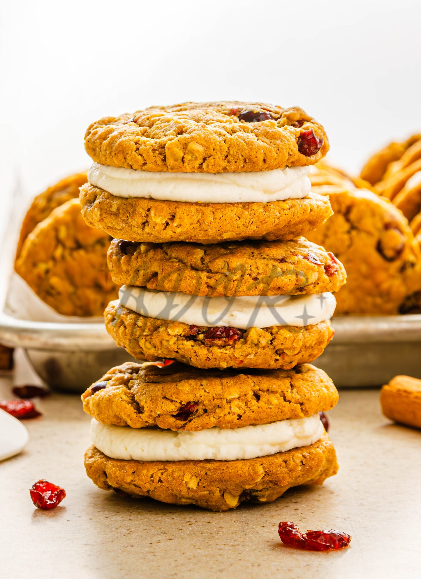 Pumpkin Oatmeal Cranberry Sandwich Cookies - Set 1 of 3