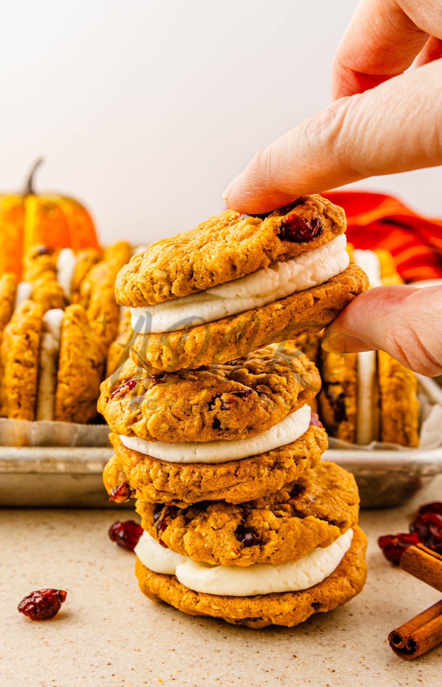 Pumpkin Oatmeal Cranberry Sandwich Cookies - Set 1 of 3