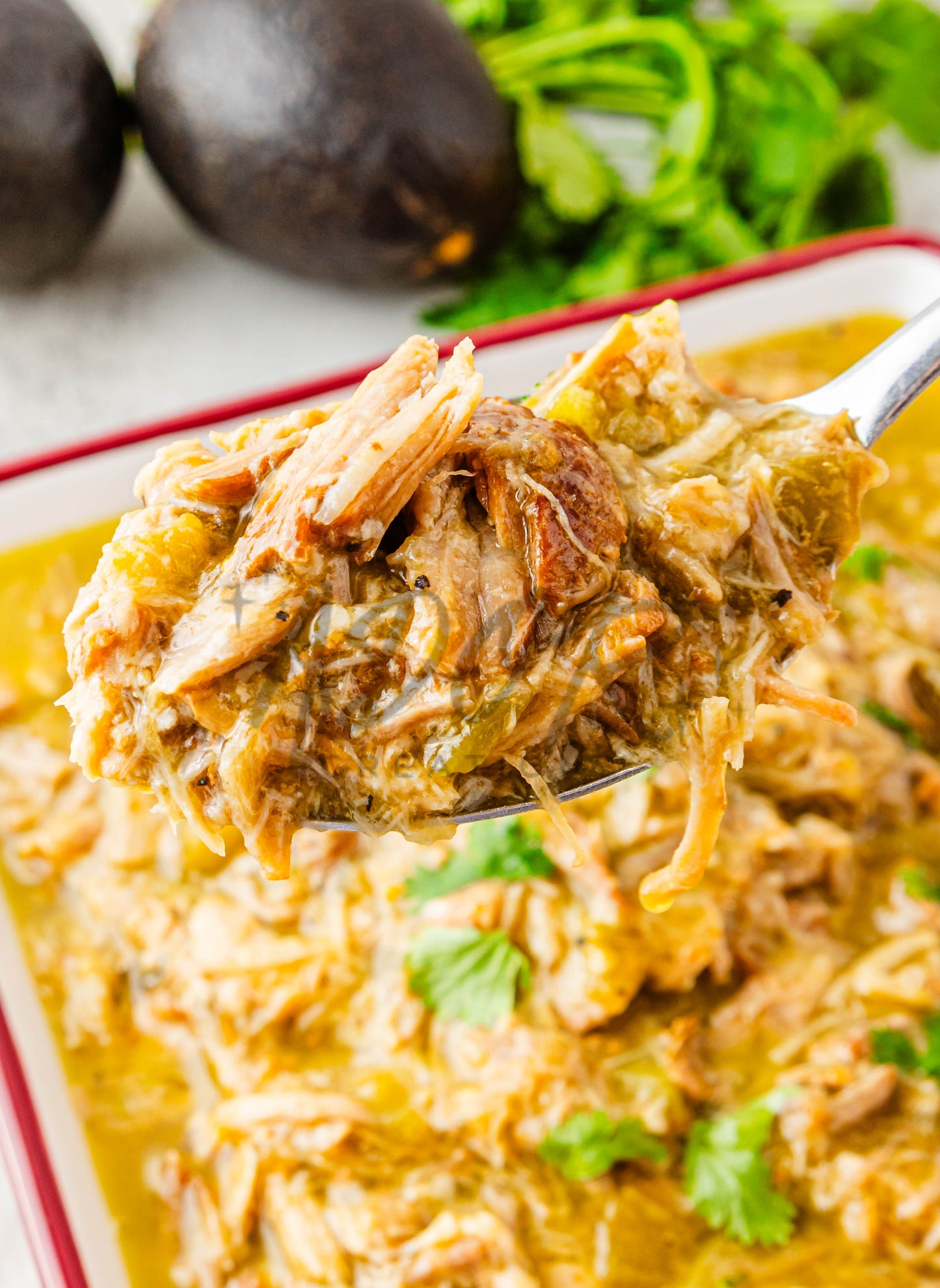 Easy Crockpot Green Chile Shredded Pork - EXCLUSIVE